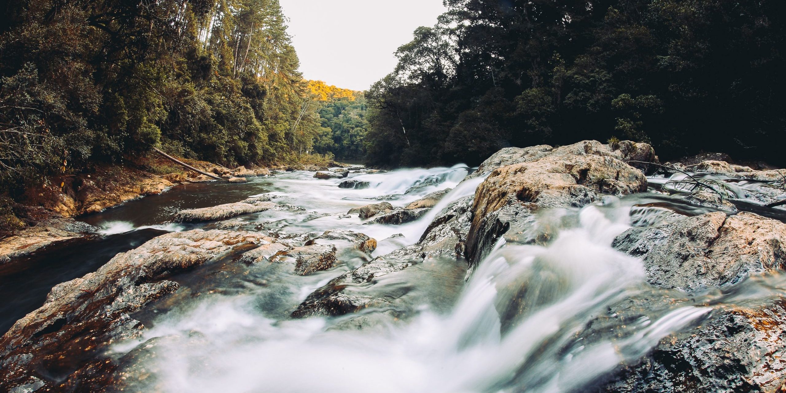 sergio-souza-FhG4WZR7zMc-unsplash