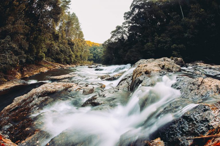 sergio-souza-FhG4WZR7zMc-unsplash